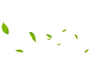 MHL Power Dongfang Boiler Co., Ltd. (MHDB)